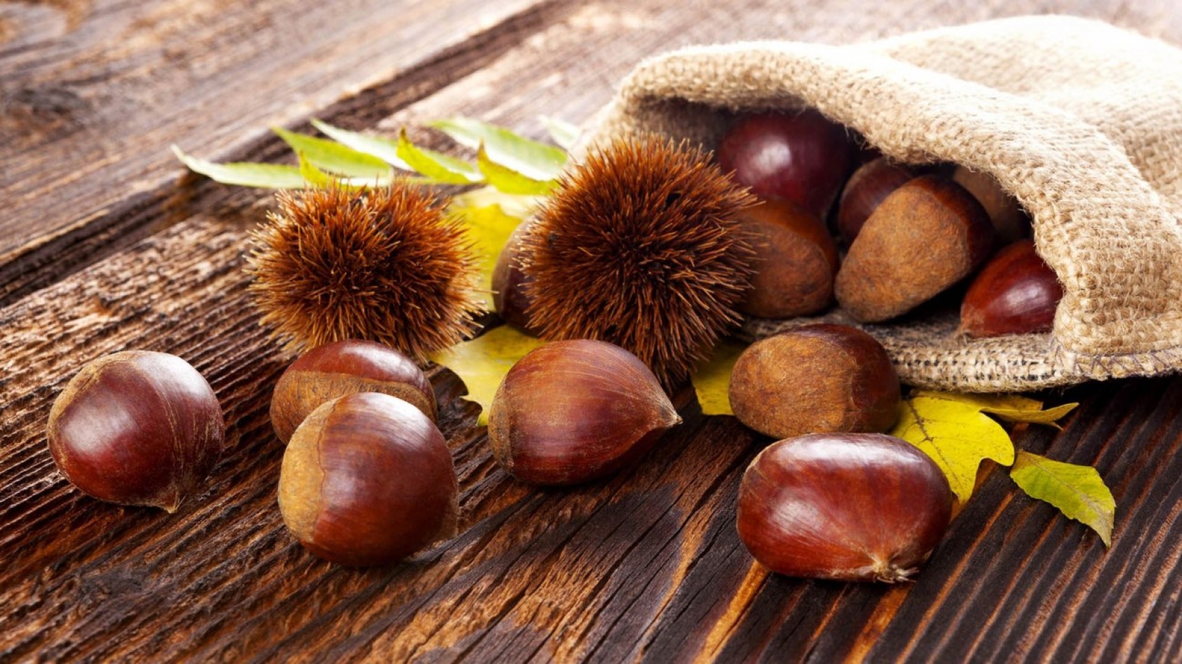 Castagne